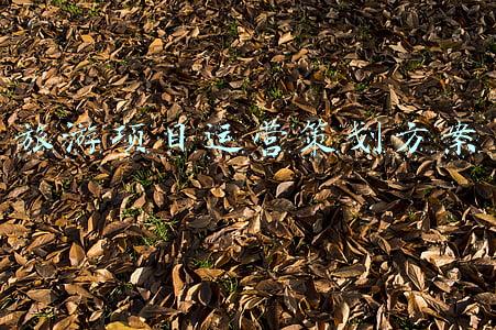 旅游项目运营策划方案