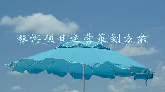 旅游项目运营策划方案