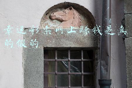 网上的幸运彩票是正规的吗(“澳洲幸运五”非法获利300余万 四川南充“2.28网络赌博案”成功告破)