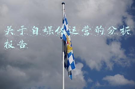自媒体运营的可行性分析报告(电商运营中心建设项目可行性研究报告-思瀚产业研究院)
