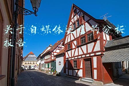 媒体运营分析报告(2022年中国电子媒体广告行业发展现状调研及未来前景分析报告)