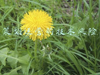 运营风险管理(工行日照分行建立重点督导机制 推动网点运营风险管理水平提升)
