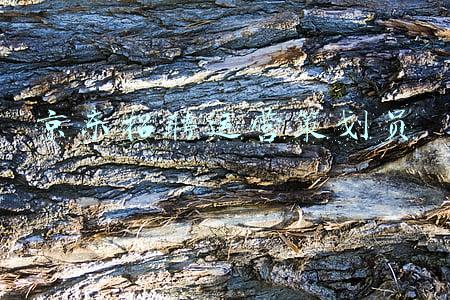 京东招聘运营策划员