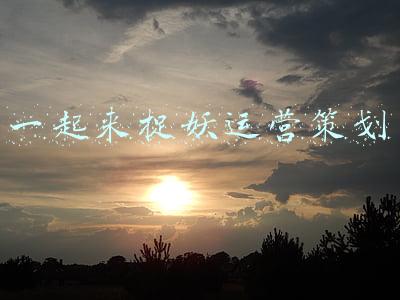 一起来捉妖手游(一起来捉妖：一段时间没上线又多几位强势妖灵，可惜不能白嫖了)