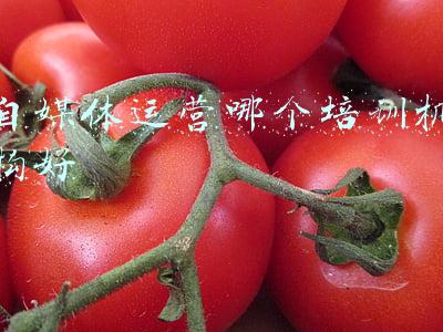 正规自媒体培训学校(台湾学生福利 | 新媒体训练营,从0到1手把手带你成为自媒体创作者)
