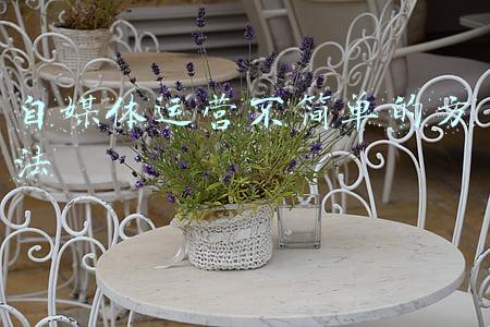 自媒体怎样运营(自媒体要怎么运营？这几个思路你一定要知道)