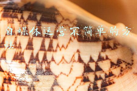 自媒体运营不简单的方法