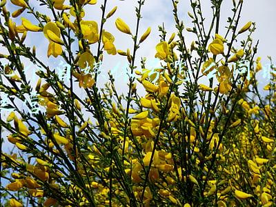 怎么开自媒体号(如何注册帐号通过自媒体编写文章)