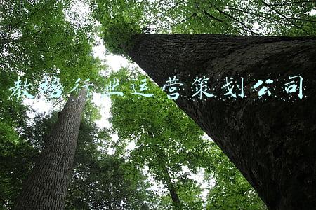 教育行业策划设计(教育培训行业线上推广方案及招生策划)