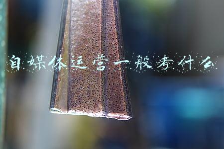 自媒体运营应该学什么专业(5G时代背景下，发展前景不错的15个专业推荐)