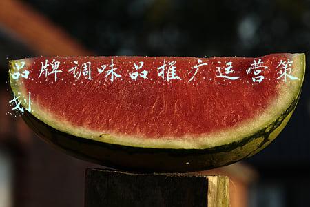 调味品品牌(调味品品牌纷纷涨价 布局“懒人调料”寻新增长点)