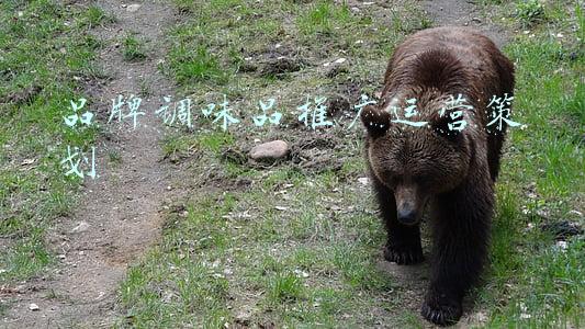 中国调味品品牌排名(京东调味品品牌销量排行榜（2021年5月）)