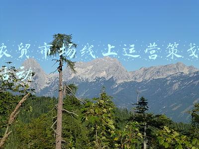 农贸市场线上运营策划活动