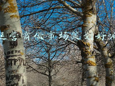 三大运营商市场份额(三季度数据出炉，三大运营商原地踏步还是跑出“加速度”？)