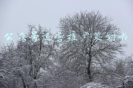 公众号活动策划(微信公众号活动方案怎么写？)