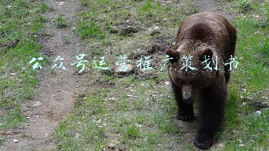 公众号运营策划书(B端如何制定公众号活动营销策略)