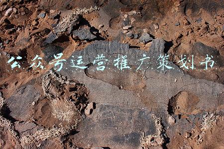 公众号策划书(大众网新年策划 | 海报君送你一张专属“姓氏海报”)