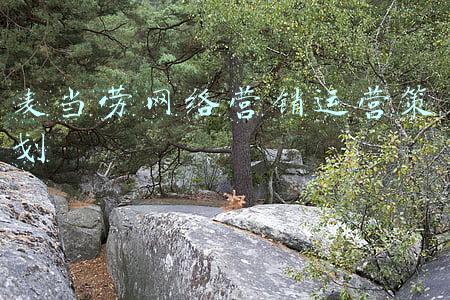 麦当劳网络营销策略(实操：麦当劳公司市场营销计划书范例)