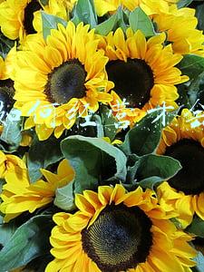 幸福婚姻的经营秘诀 幸福婚姻的经营秘诀打卡