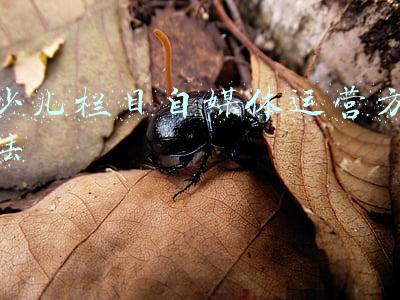 少儿栏目(又有儿童动画片被举报后官方回应整改，“未成年频道”在路上)