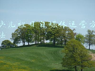 少儿栏目策划方案(在田间感悟新时代乡村《快乐童行》打造少儿节目创新标杆)