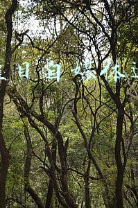 少儿栏目自媒体运营方法