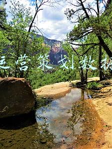 抖音运营数据分析(抖音电商数据分析案例)