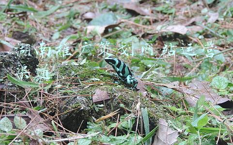 湖南官网网站推广软件(四月活动政策月，SEO自然排名霸词营销软件助力企业全网获客)