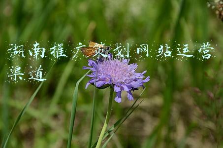 新湖南投稿渠道(新任湖南省委书记张庆伟：我在湖南没亲属，有人打我旗号或以亲友名义谋私利的，要依纪依法查处)