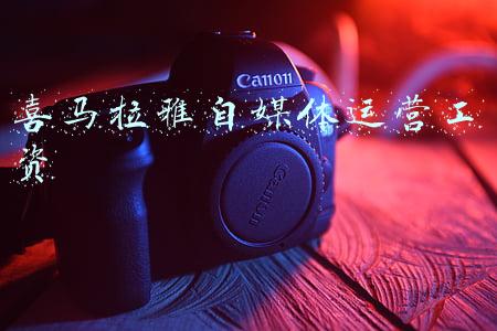喜马拉雅自媒体平台(5家主流音频自媒体评测，喜马拉雅与企鹅更突出)