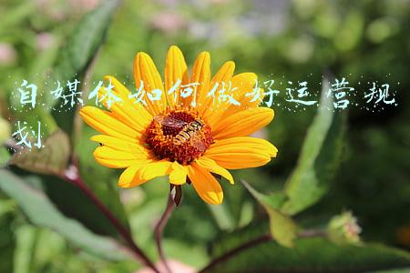 2022新媒体运营规划(于斐老师谈：2022年中小企业如何利用新媒体做好品牌运营？（四）)