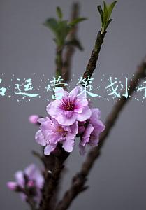 化妆品品牌运营策划方案(2021年中国美妆集合店行业报告)