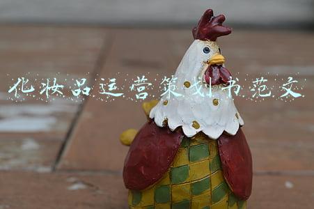 化妆品店策划书(223美妆护肤策划案（37份）-广告人干货库)