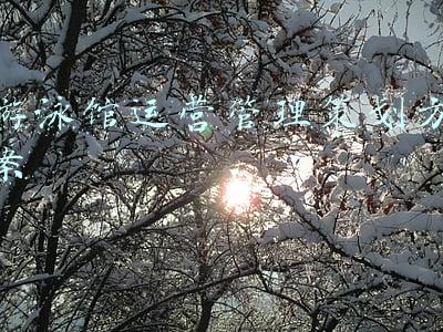 游泳馆营销策划方案(「营销案例」儿童游泳馆如何策划方案，锁定大量用户并持续消费？)