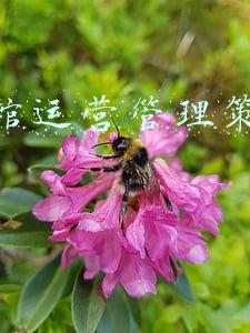 游泳馆活动策划方案(婴儿游泳馆策划活动要从这五个维度出发)