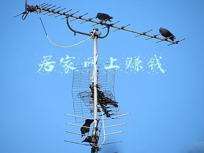 居家网上赚钱