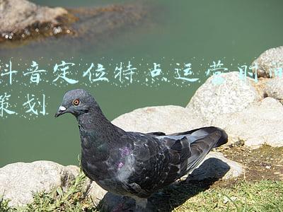 肿瘤医院的运营特点(北京经开区首家临床研究型三级肿瘤专科医院试运营)