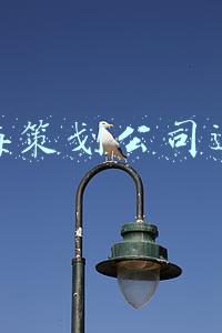 上海营销策划公司招聘(提供73个岗位，招聘246人！这场线上招聘会等你来)