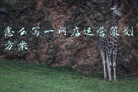服装网店运营策划方案(服装行业怎么做好品牌推广以及营销)