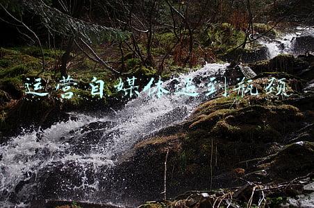 运营瓶颈(快手Q4月活增速下滑 增长瓶颈期DAU沉淀与运营成关键)