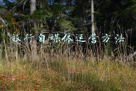 旅行自媒体运营方法