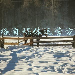 网络自媒体运营(一个10年的互联网运营谈网络运营与新媒体运营（初涉者必读）)
