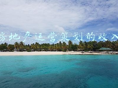 房地产运营策划的收入