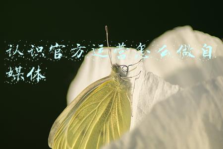 新媒体管家官方网站(新媒体管家停服1年了，你找到替代它的自媒体一键发布工具了吗？)