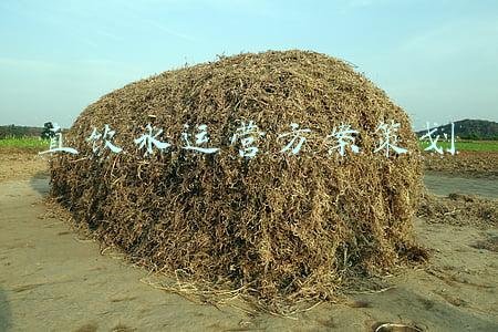 直饮水运营方案策划