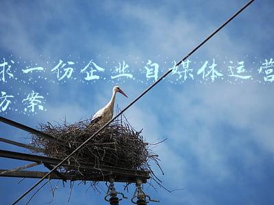自媒体方案策划(自媒体最佳选题指南，赶紧收藏！即时热榜)