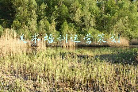 美术培训机构运营(钜惠科技商学院｜少儿美术培训班该如何运营才能盈利)