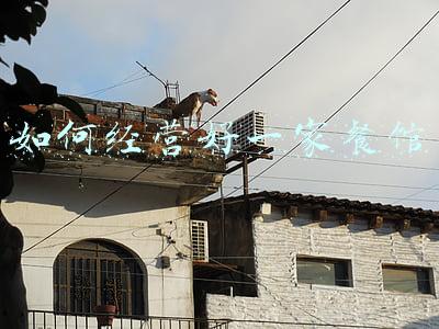 如何经营好一家餐馆