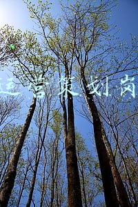 游戏策划月薪(电竞招聘｜月薪最高9万x13薪！吉比特招聘游戏制作人)