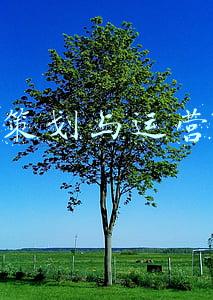 酒店营销策划与运营(洲际、世茂、凤悦、君亭…… 那些正在重塑运营新模式的酒店都在干什么？)